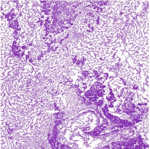 Digital Terrain Data create contour map